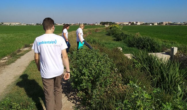 Proyecto Albufera