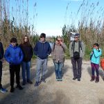 Atendiendo a la explicación en la actividad en la Albufera - Ambientalys