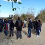 Explicación grupal en la actividad en la Albufera