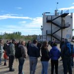 Actividad en la Albufera por SEO Birdlife