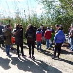 Asistentes atendiendo en la actividad en la Albufera - Ambientalys