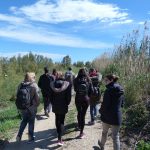 Paseo actividad en la Albufera - Ambientalys