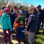 Niños y Ambientalys en la Albufera
