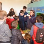 Explicación del pico de un pájaro en la Albufera