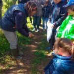 Liberando un pájaro en la actividad familiar en la Albufera - Ambientalys