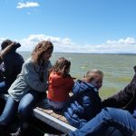 Actividad en familia en la Albufera - Ambientalys