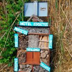 Hotel d'insectes a la Albufera - Activitat familiar d'Ambientalys
