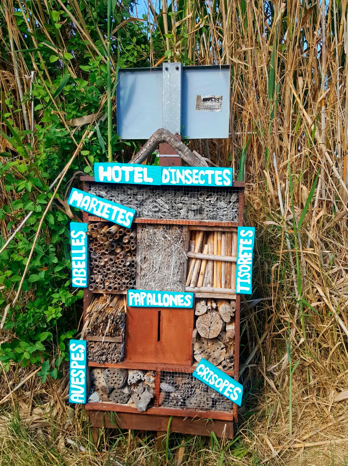 Hotel d'insectes a la Albufera - Activitat familiar d'Ambientalys