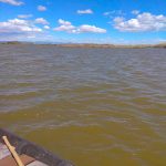 Actividad en la Albufera