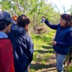 Pájaro atrapado en la actividad de Ambientalys