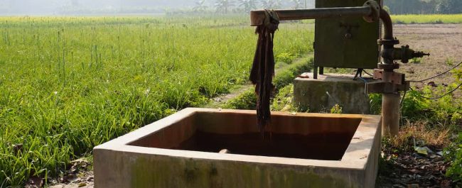 Real Decreto 665/2023